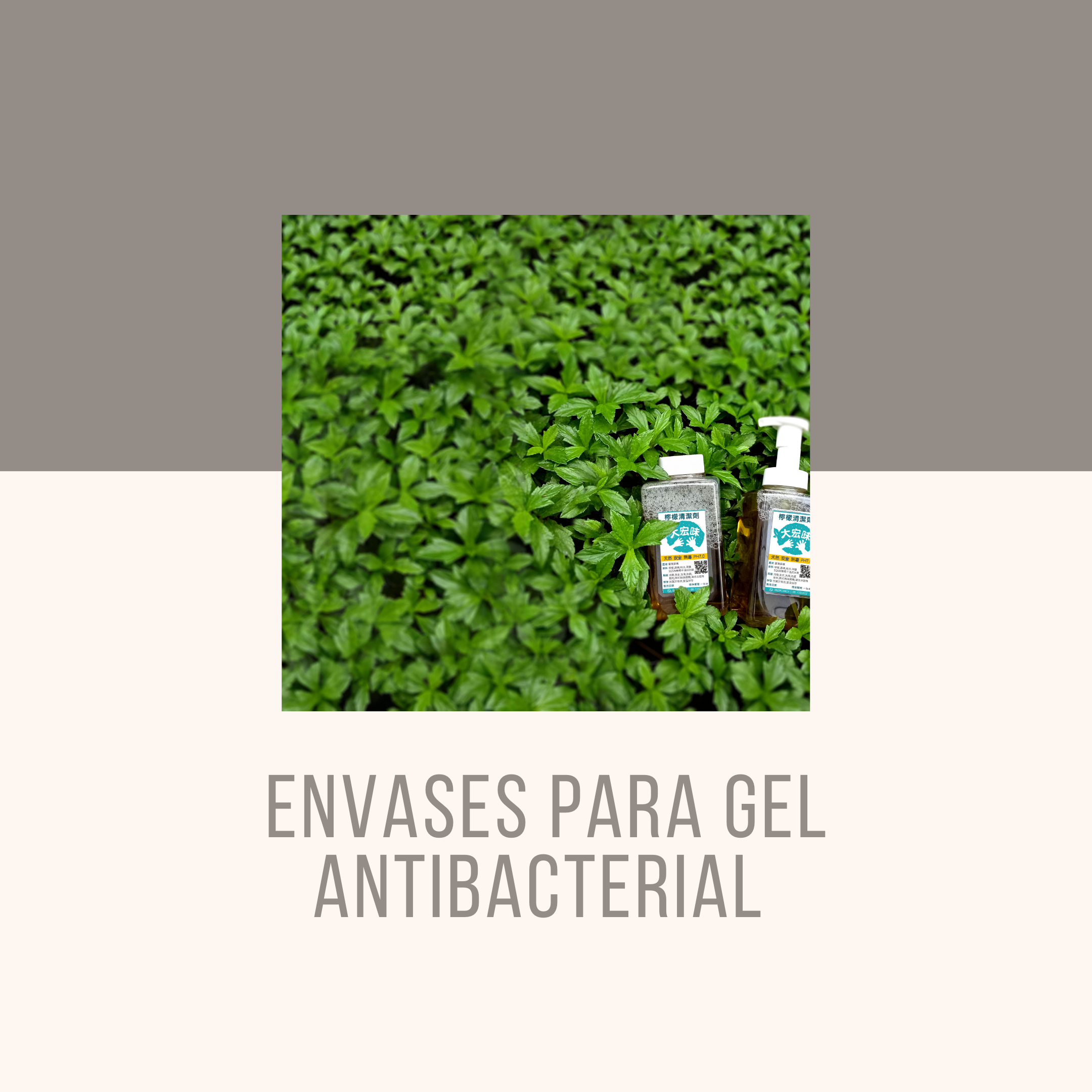 Envases para Gel Antibacterial  en México 